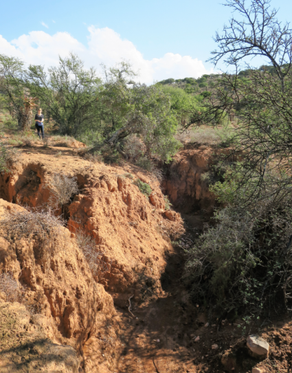 Gully caused by erosion