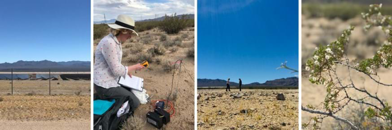 From left to right: The Stateline Solar Park in California; Dr. Alona Armstrong taking a soil surface measurement; Armstrong and Dr. Rebecca R. Hernandez walking a soil surface transect; a Creosote bush (Larrea tridentata), a dominant evergreen shrub found in the Ivanpah Valley, where Stateline PV Solar Park is located.