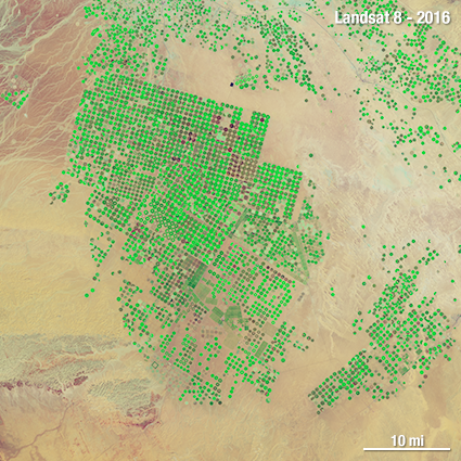 Landsat 8 Saudi Arabia