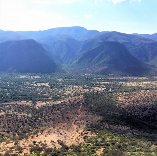 A fence in the lower half of this photo separates an area that hosts grazing livestock