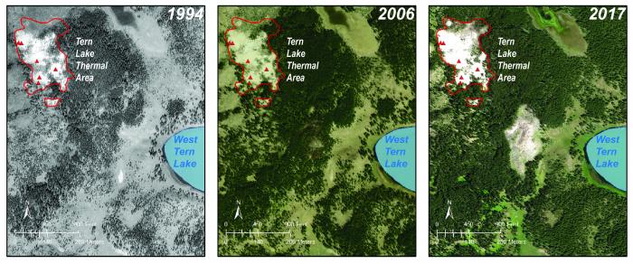 High-spatial-resolution airborne images of the Tern Lake area