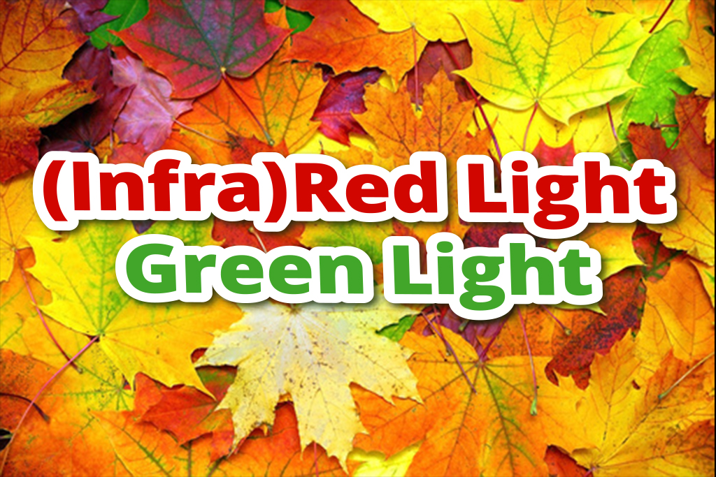 Infrared Light Green Light EO