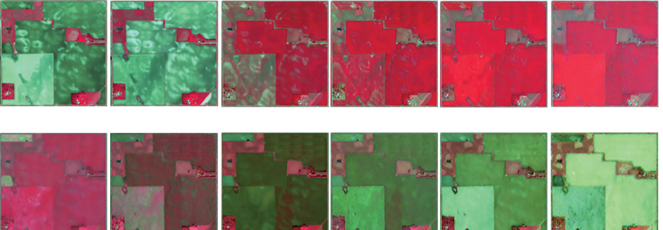 Infrared satellite imagery captures the stages of an entire growing cycle for multiple crops