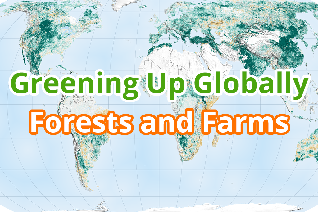 Greening Up Globally Forests and Farms