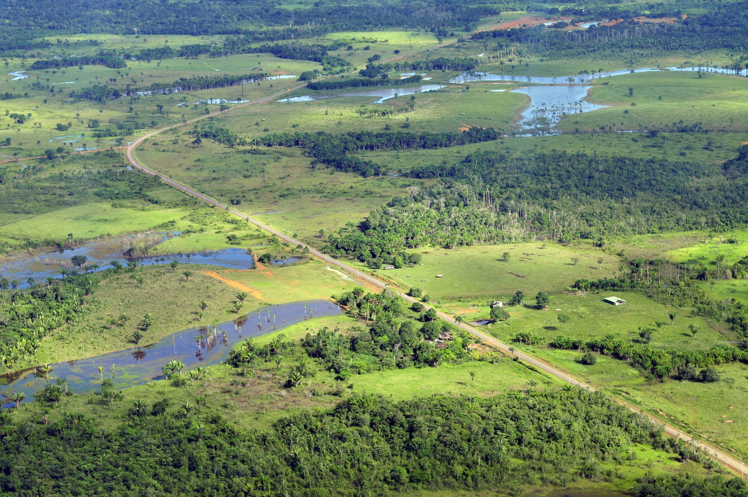 Deforestation in the Amazon