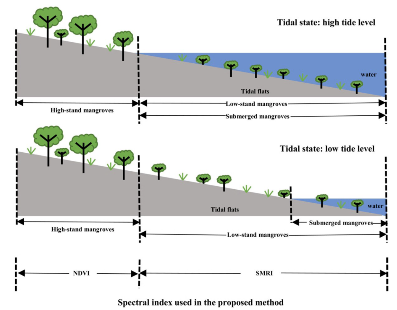 Submerged Mangrove Recognition Index diagram