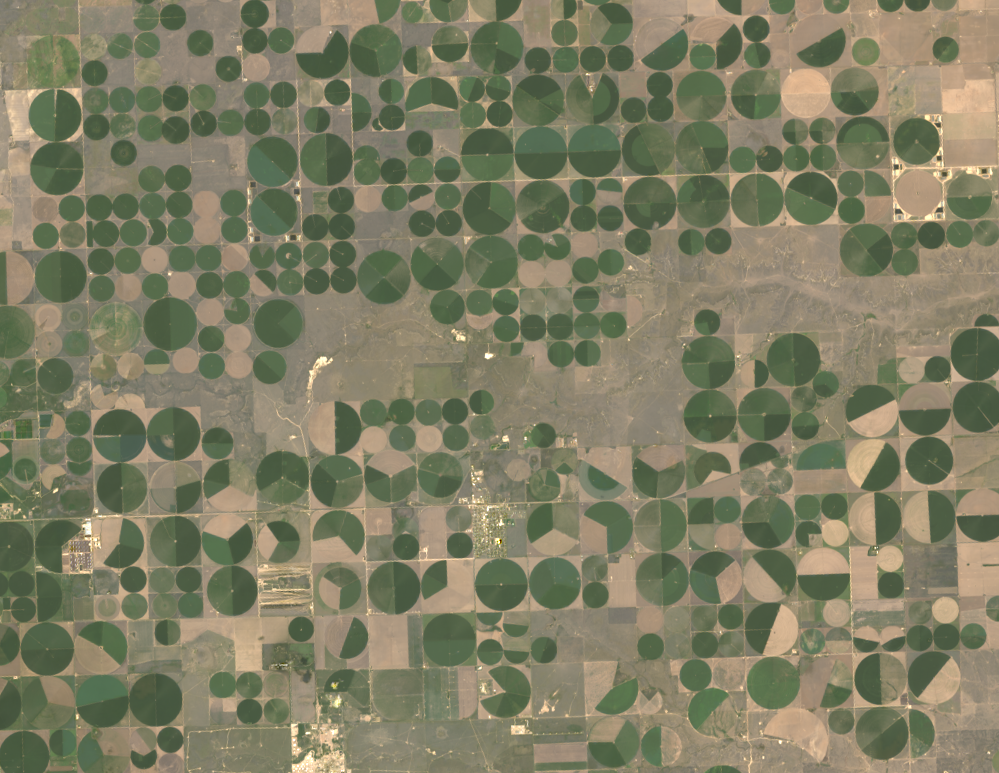 Center pivot agricultural fields east of Dalhart, TX