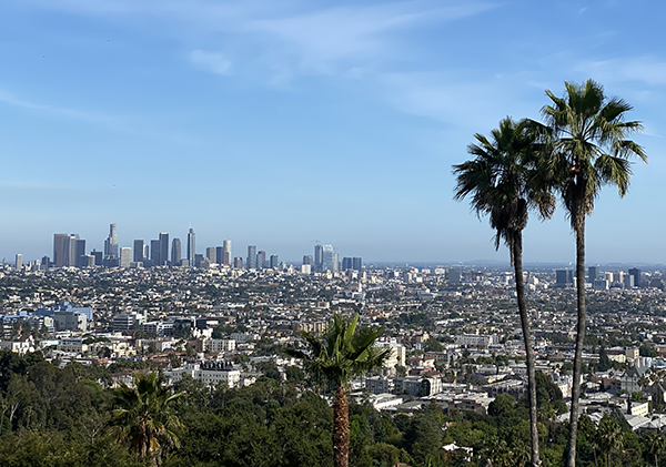 Downtown LA with palm trees in the foreground