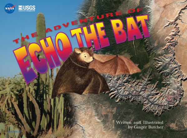 Echo the Bat Book cover