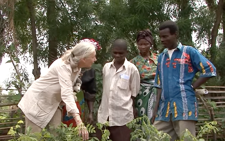 Jane Goodall with villagers