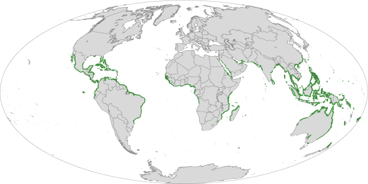 Global Mangrove Map made with Landsat