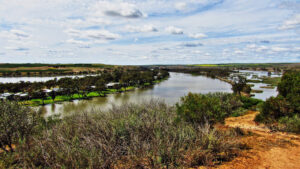 Photo of Murray River near Younghusband, Australia