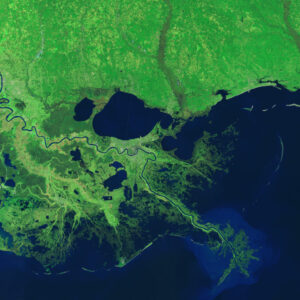 Feb. 2014 Landsat 8 image mosaic of Mississippi River Delta