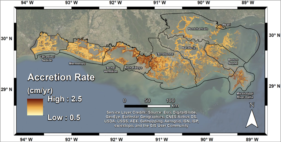 Soil accretion in coast Louisiana