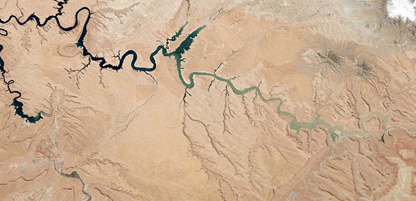 Meandering Lake Powell as seen by Landsat 8 in 2014. Dark blue deep waters change to green-grey shallow waters from image left (west) to right (east).