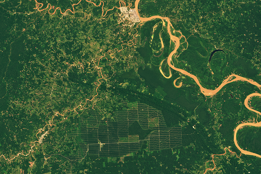 Landsat 8 image of deforestation in Peru