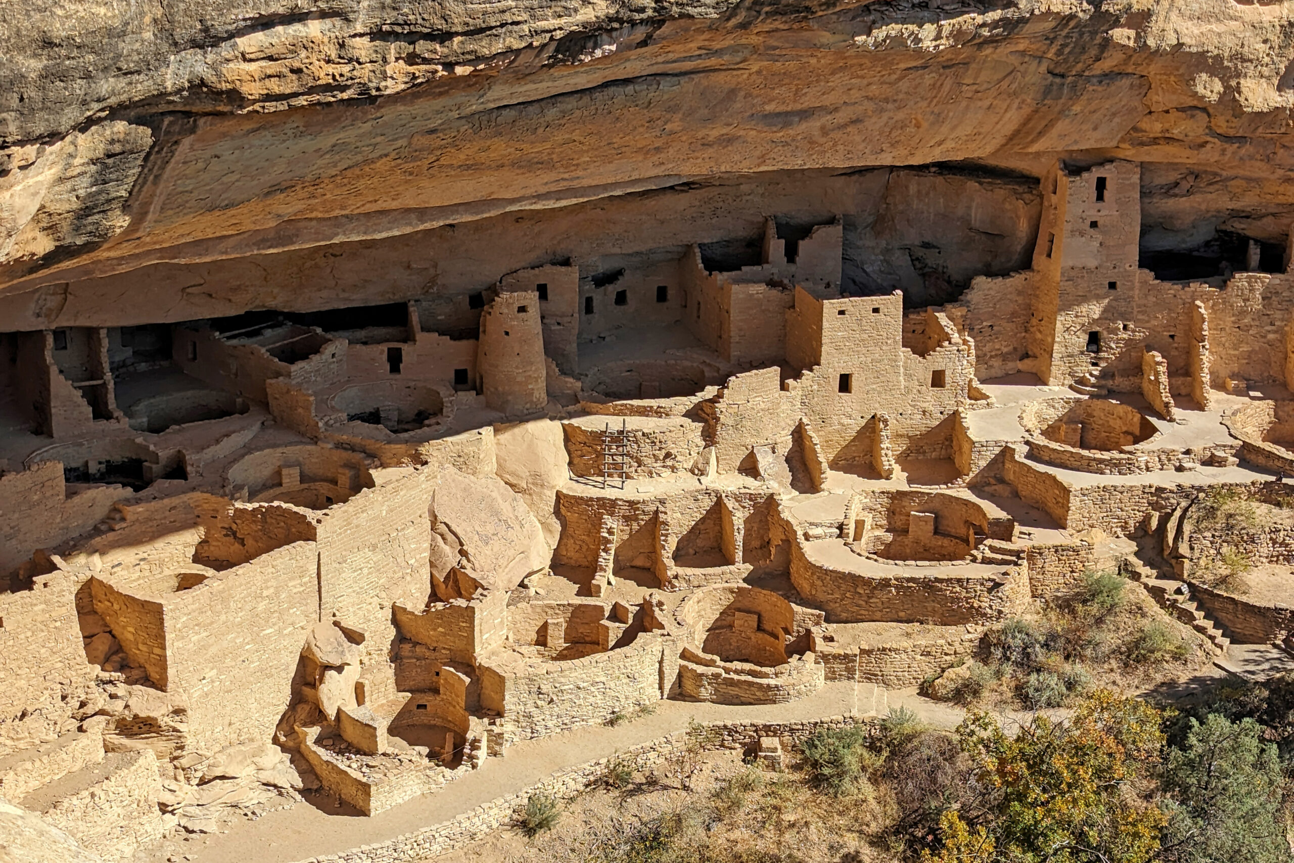 Photo of Cliff Palace at Mesa Verde National Park
