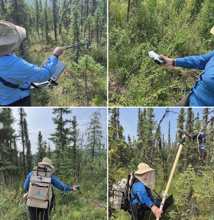 Measuring reflectance and fluorescence of different types of boreal forest plants. Collecting measurements at the base of the tower in the footprint of the FLoX (top-left); using the STELLA (top-right)—a multiband radiometer you can build yourself
