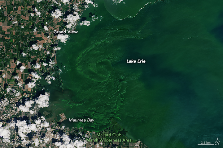 Landsat image of Lake Erie