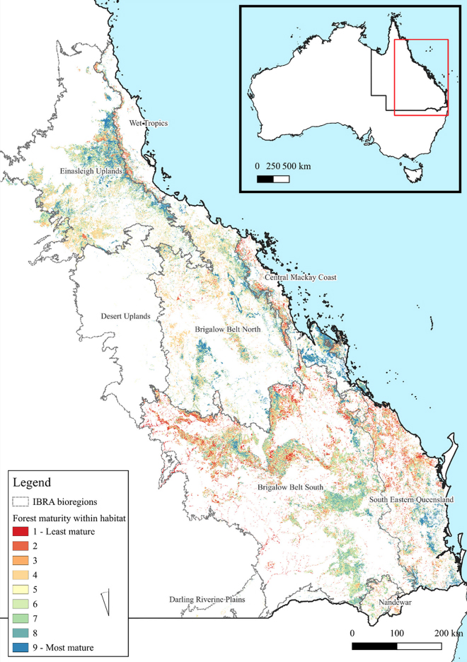 Map of eastern Queensland showing forest maturity.