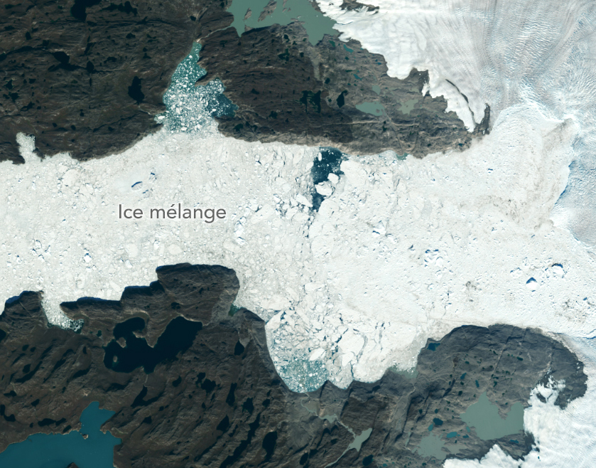 A Landsat 8 image from Sept. 4, 2022, shows Jakobshavn Isbrae breaking at its edge. Image credit: NASA/USGS