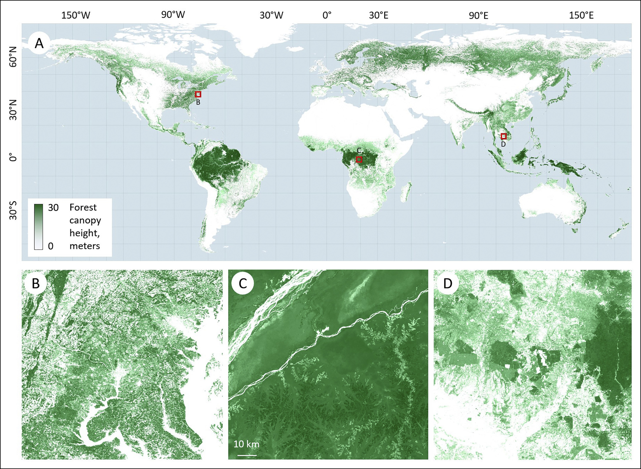 Global forest cover height map for the year 2019 produced through the integration of GEDI data and multitemporal metrics derived from Landsat GLAD ARD.