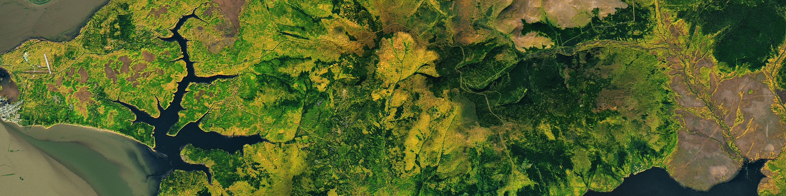 Landsat 8 image of fall foliage near the Amur River along the Chinese-Russian border.