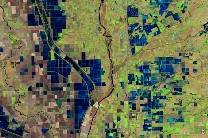 False-color Landsat image of flooded rice fields along the Sacramento and Feather Rivers in California. Blue rectangles are seen amid bright green rectangles and the curving rivers.