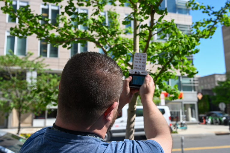 Michael Taylor uses the STELLA DIY handheld spectrometer to measure the spectral signature of leaves on a tree.