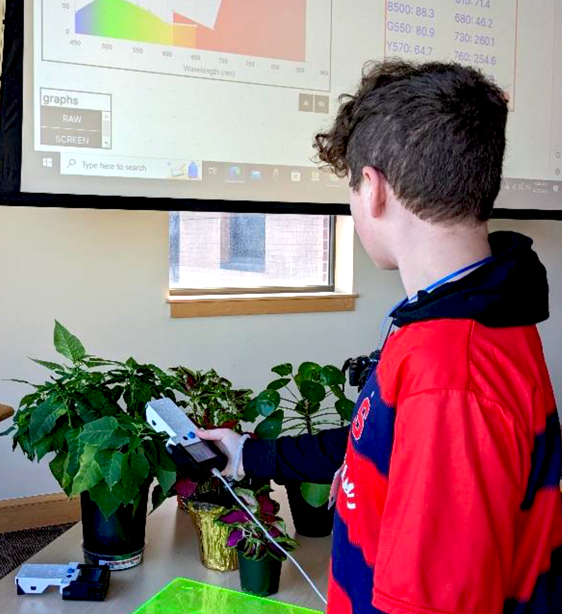 Student in a classroom wearing a red sweatshirt, holding a STELLA spectrometer over a green plant leaf. There is a projector behind him displaying the STELLA data viewer.
