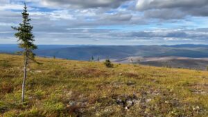 Landscape at Murphy Dome fire scar, outside of Fairbanks, Alaska, during the Arctic Boreal Vulnerability Experiment (ABoVE) in August 2022. Credit: NASA/Katie Jepson