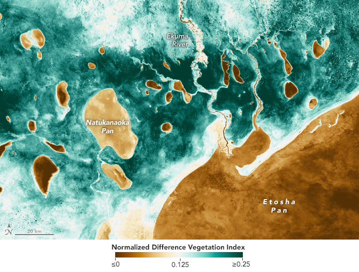 The false-color image shows the area’s NDVI on March 7, 2024, during a time of year when vegetation is especially abundant.