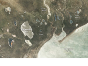 The image above, acquired on March 7, 2024, with the (Operational Land Imager-2) on Landsat 9, shows several watering holes and rivers within Etosha National Park and areas north.