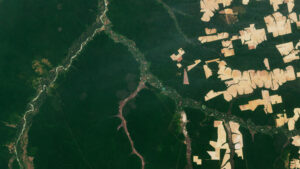 Landsat 8 Image of destruction in Mato Grosso, Brazil.