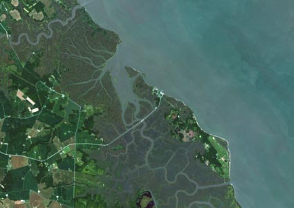 A natural color Landsat 8 image of marshlands surrounding the Delaware Bay. This image was part of a NASA Earth Observatory story titled: "Delaware’s Tidal Wetlands."