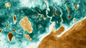 Landsat-derived NDVI image of Etosha National Park.