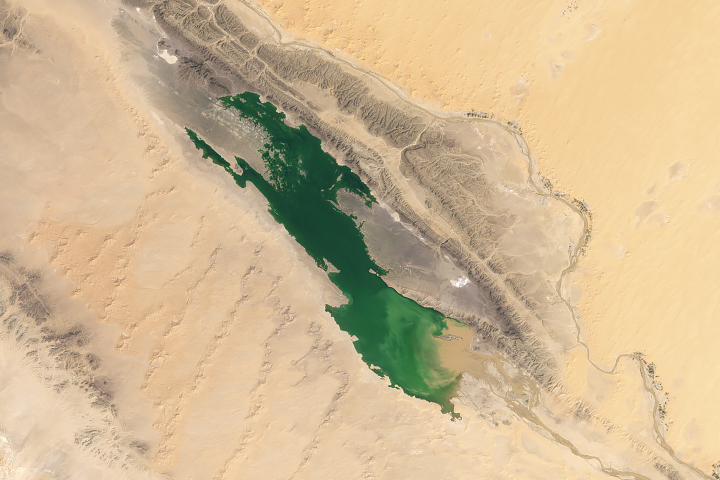 Water for a Desert Lake in Algeria