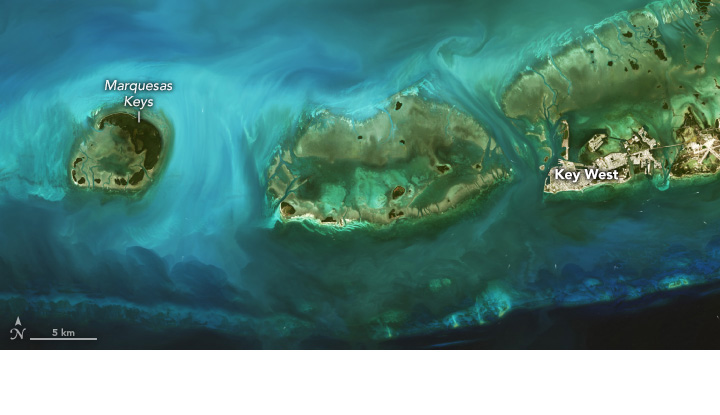 A natural-color Landsat 8 image of coral reefs in the Florida Keys, acquired on February 22, 2024.