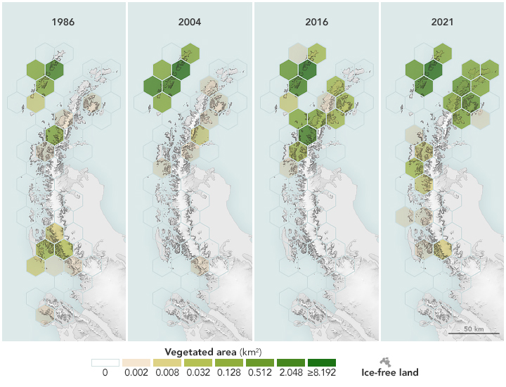 Satellites Reveal a Greener Antarctic Peninsula