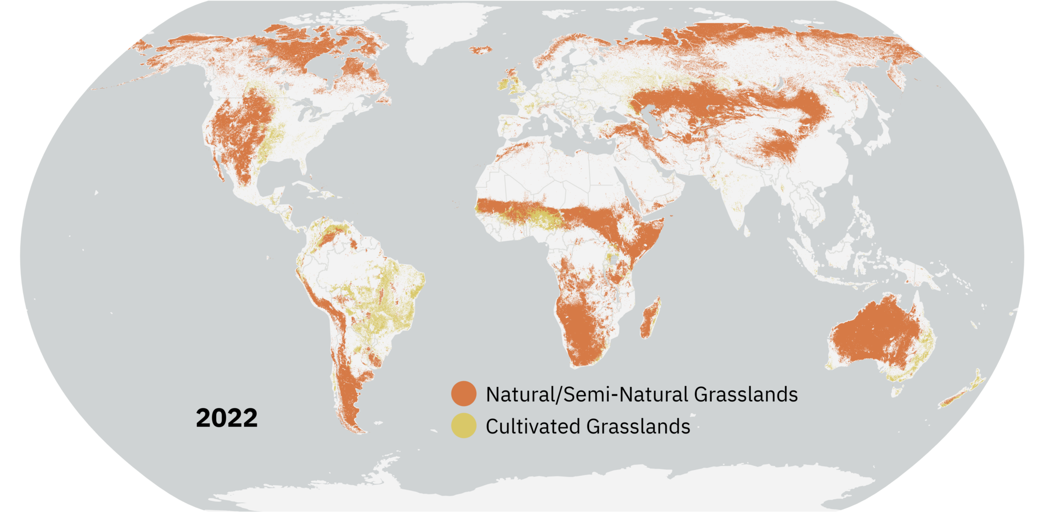 Global map of grasslands in 2022. Orange represents natural grasslands, and yellow represents cultivated grasslands. In certain regions, like the Amazon, cultivated grasslands dominate over natural ones. in others, like the boreal biome, natural grasslands dominate over cultivated.