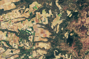 A satellite image of part of the Brazilian Cerrado from June 2024 shows light brown agricultural land amid areas of green vegetated land and irrigated farmland. Compared to the 2000 image, brown areas cover more of the image.