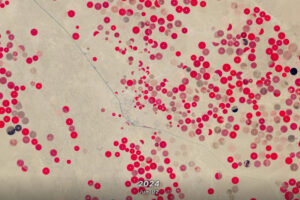 Agriculture in Saudia Arabia. Healthy plants appear bright red, whereas stressed vegetation appears grey or black. Vegetation appears in circular crop fields against a beige background.