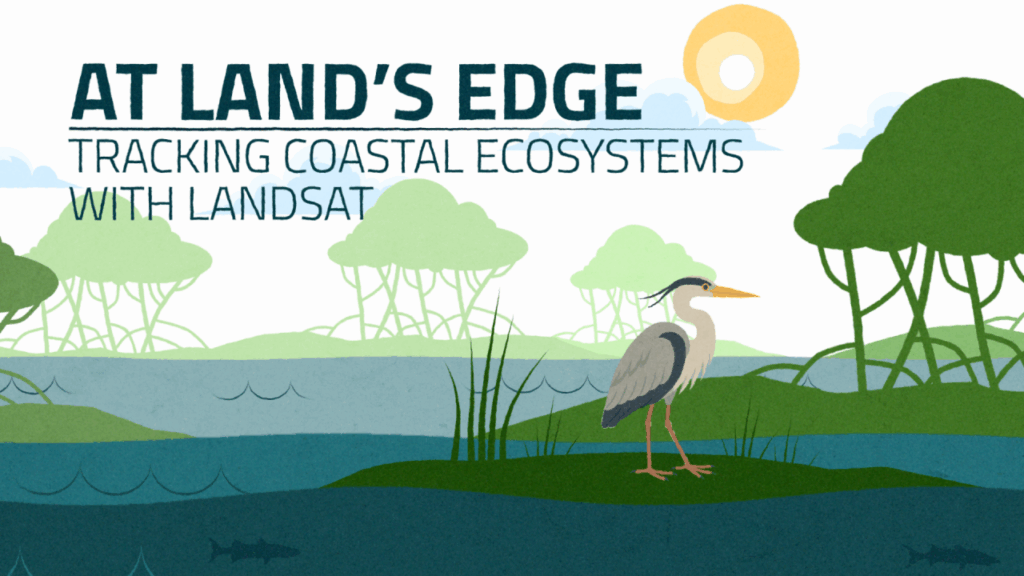 Thumbnail of the "At Land's Edge: Tracking Coastal Ecosystems and Landsat" video. The graphic shows a vector pelican, trees, water, grass, and a yellow sun.