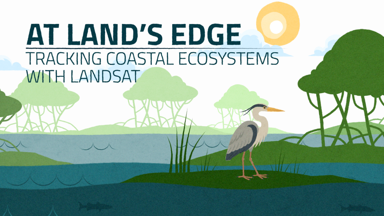 Thumbnail of the "At Land's Edge: Tracking Coastal Ecosystems and Landsat" video. The graphic shows a vector pelican, trees, water, grass, and a yellow sun.