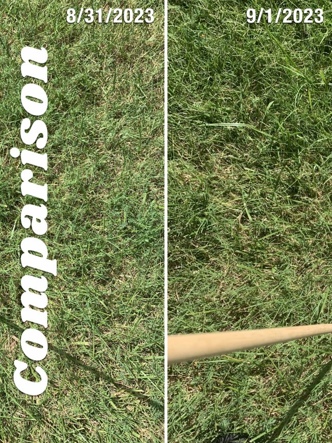 Grass Time comparison Aug31_vs_Sep1_2023