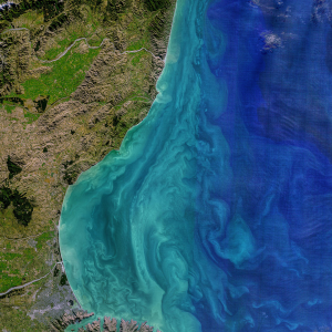 A Landsat satellite image of saturated light and dark blue ocean and reef contrasted with the green and brown coast of New Zealand