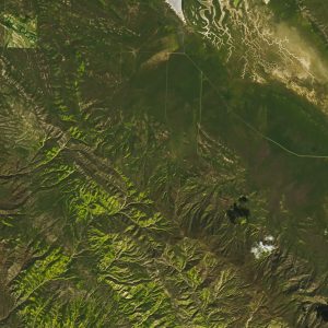 Natural-color Landsat 8 image of wildflowers blanketing green hillsides and stream valleys near the town of New Cuyuma, California acquired on March 18, 2019.