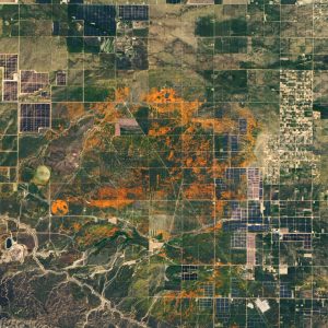 Natural-color Landsat 8 image of poppies in California acquired on April 14, 2020.