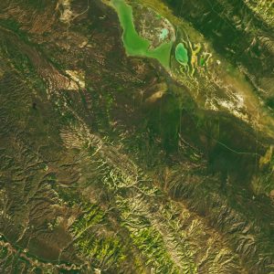 Natural-color Landsat 9 image of wildflowers in California's Carrizo Plain National Monument acquired on April 6, 2023.