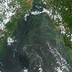 A Landsat satellite image of green and blue harmful algae blooms over water in Venezuela's Lake Maracaibo.
